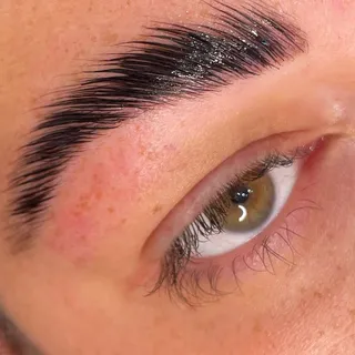 Freshly laminated brow in close-up